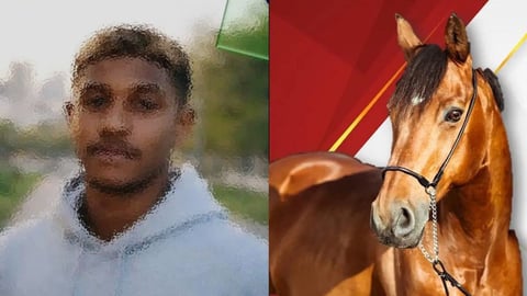 ¿Caballo robado? La Antena te cuenta la historia de Jovellanos