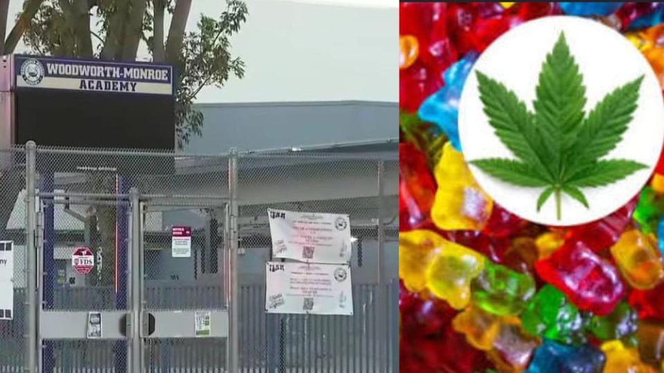 ¡Tremendo susto en escuela de California! Niña de 13 años termina en el hospital por gomita 'verdecita' que le dieron en clase