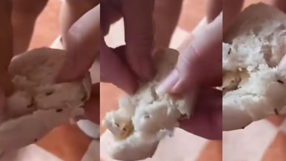 ¿Pan con Bichos? Vecinos de Guanabacoa Levantan la Voz por la Comida Mala