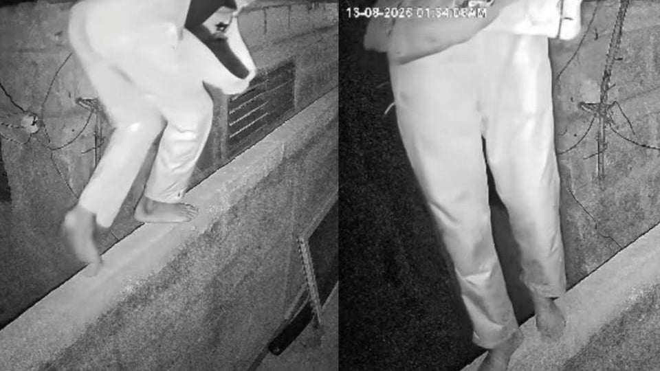 ¿Quién se robó la lámpara 'cool' de El Matadero de Cárdenas? Cámaras dicen '¡Ajá!'