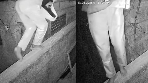 Video: Presunto Robo Captado por Cámaras en El Matadero de Cárdenas