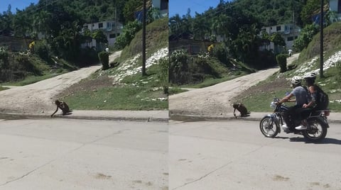 Indigente se baña en aguas residuales en Sagua de Tánamo: Denuncia Pública Clama por Acción