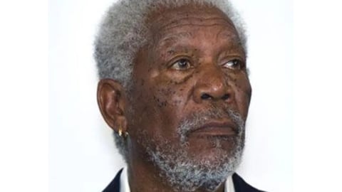 Morgan Freeman Dona Millones para Santuario de Perros Abandonados