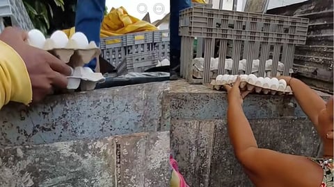 Cuban Egg Prices Soar, Cartons Reach 4,500 Pesos Amidst Economic Strain