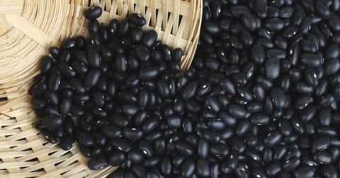 ¿Qué pasó con los frijoles en Cuba? El gobierno pone orden (a medias)