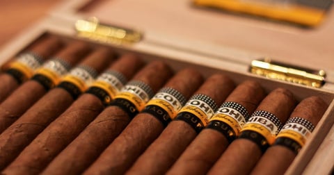 ¿Tabaco cubano enredado entre el sol y la sombra? Pinar del Río cambia a verde mientras exporta hasta lo último.