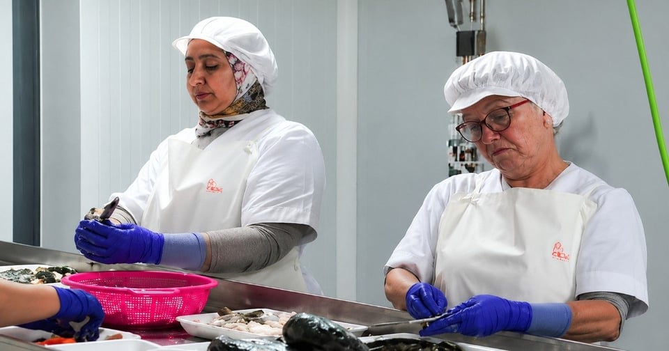 Formación en Pesca en Galicia Abre Puertas a Cubanos Buscando Empleo