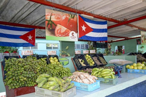 Caen las exportaciones agrícolas de EE. UU. a Cuba en el primer trimestre de 2026