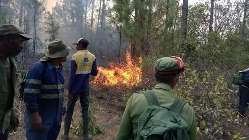 Incendio Forestal Devasta Pinar del Río: Más de 1.700 Hectáreas Afectadas y Fuera de Control