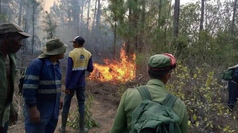 Incendio Forestal Devasta Pinar del Río: Más de 1.700 Hectáreas Arrasadas