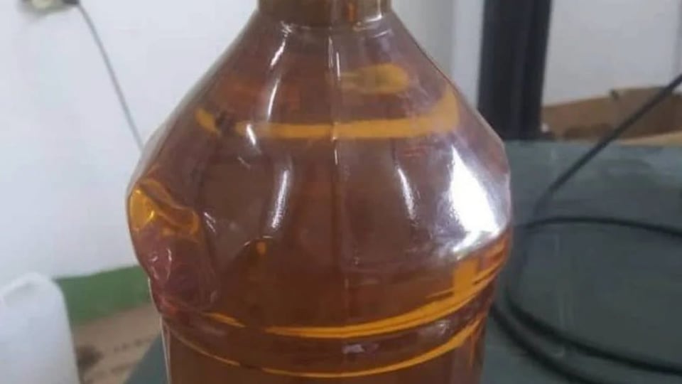 ¿Aceite pa' los caballos y te lo venden a ti? Alerta en Mayabeque