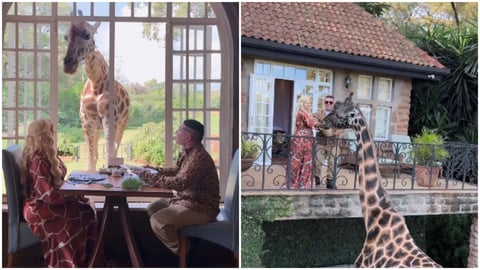 Osmani García y Laura Candeau: Desayunos con Jirafas en Nairobi