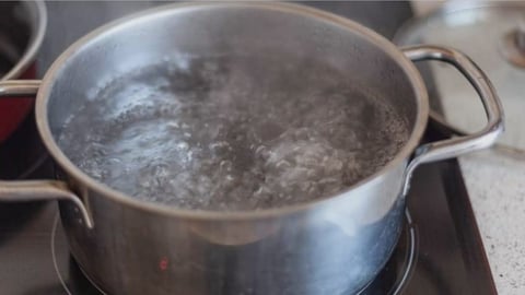 Alerta en North Lauderdale: Detectan E. coli en el agua potable
