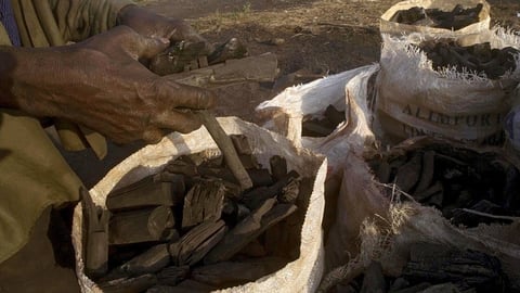 ¡El carbón a precio de oro y el gas a lo que dé! ¡Cuba ardiendo… literal!