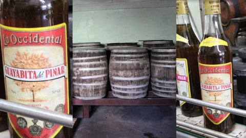 La Guayabita del Pinar: Un Licor Emblemático Retoma Producción en Cuba