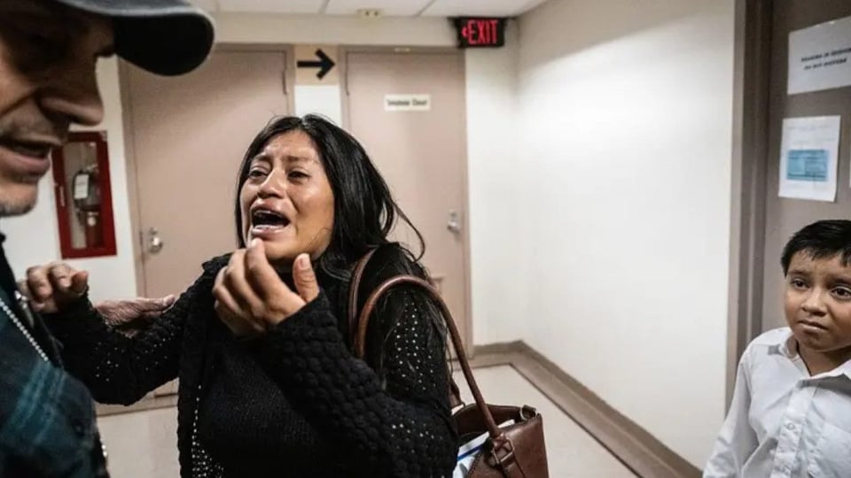 ¡Agarren Palomitas! Gobierno Trump Admite Errorazo con ICE en Tribunales