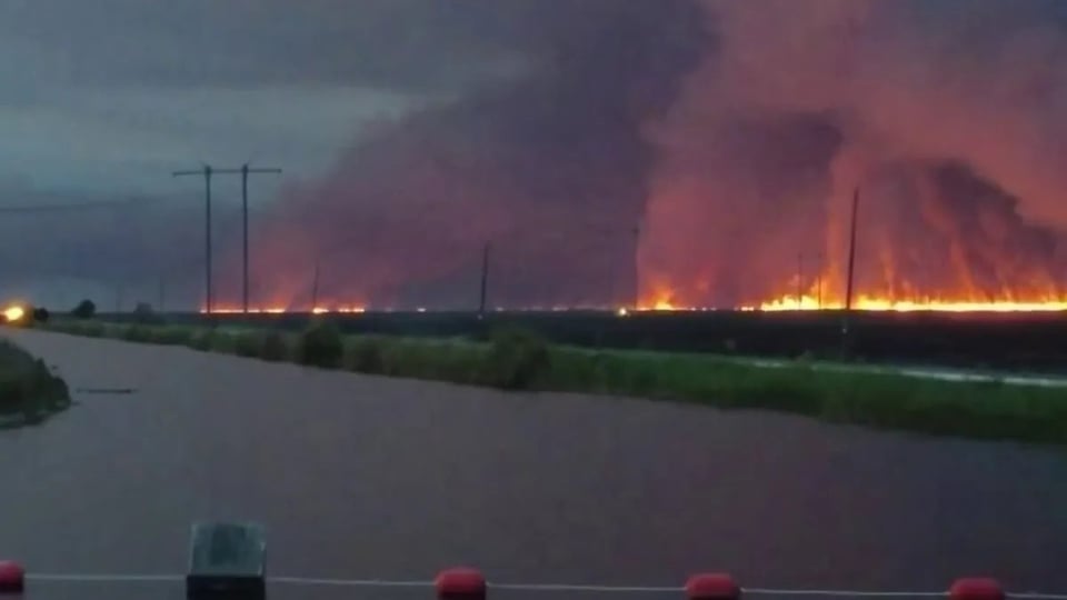 Incendio Forestal Avanza en Miami-Dade y Broward