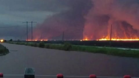 Incendio Forestal Devasta el Sur de Florida: Miami-Dade y Broward en Alerta