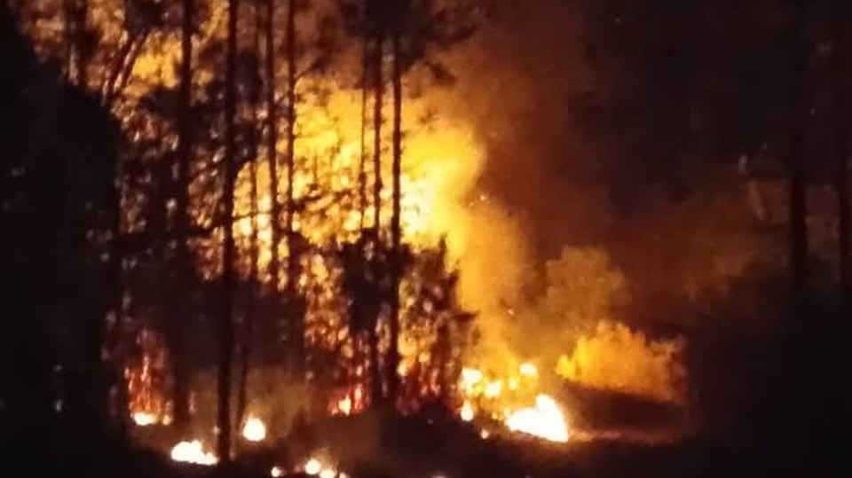 Incendio Forestal Afecta Pinar del Río