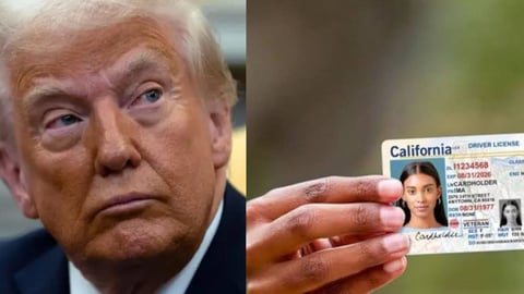 Trump Impone Verificación Migratoria para Licencias de Conducir Comerciales en EE.UU.
