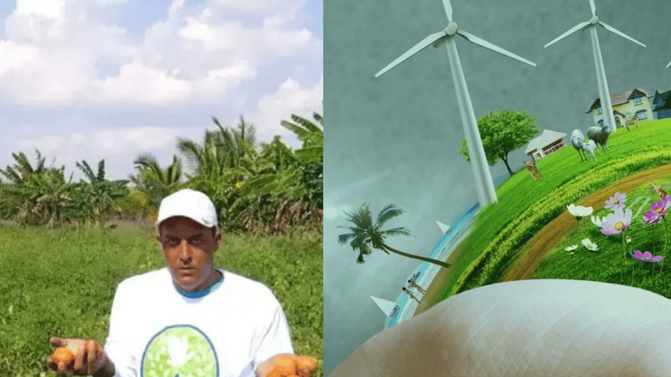 ¿Apresaron a los ecologistas de Naturpaz por sembrar pinos o por chisme?