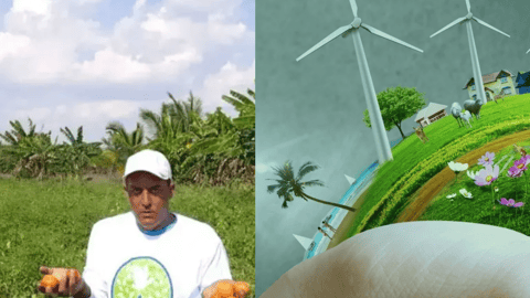 ONG Ecopacifista Naturpaz Denuncia Detención de Miembros en Pinar del Río