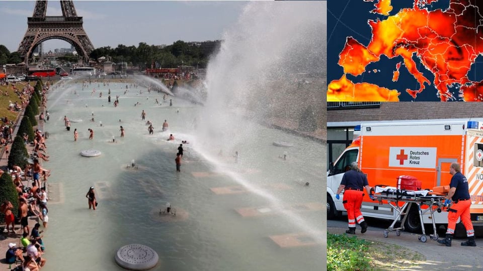 ¡Calor Criminal! Europa Se Ahoga Bajo 1,300 Muertes y la OMS Grita ¡Auxilio!