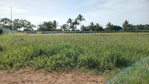 Estadio de Mayabeque en Malas Condiciones Impide Entrenamientos de Niños Campeones