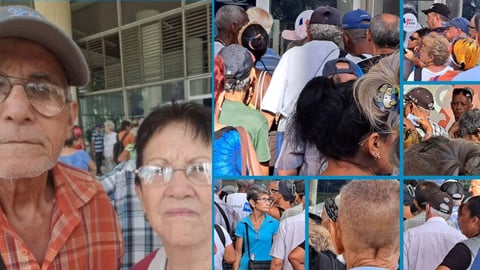 Ocho Horas en la Cola del Banco: Un Testimonio Cubano
