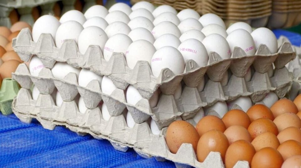 República Dominicana Envía Casi 4 Millones de Huevos a Cuba