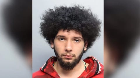 Dos Jóvenes Arrestados por Ola de Robos a Autos en Hialeah y Miami Springs