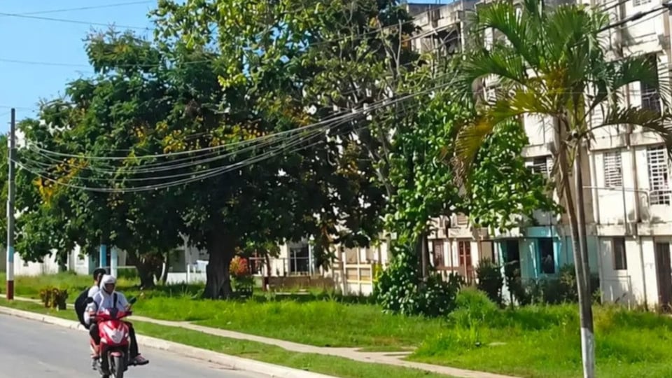 ¿Te Robaron Mientras Dormías? ¡A Esta Abuela en Cárdenas Le Pasó!
