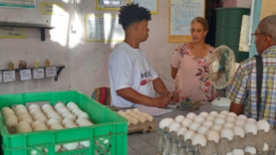 ¿Te quedaste sin huevo? ¡En Isla de la Juventud solo dan 4 por cabeza y a precio de oro!