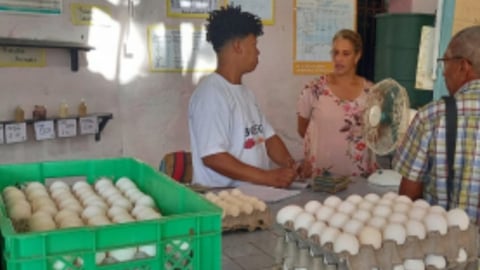 Cuba Limita la Venta de Huevos a Cuatro Unidades por Persona en Isla de la Juventud