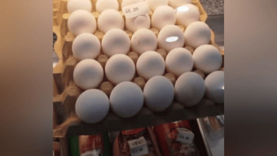 En Cuba venden huevos en dólares: el contraste con los salarios en pesos