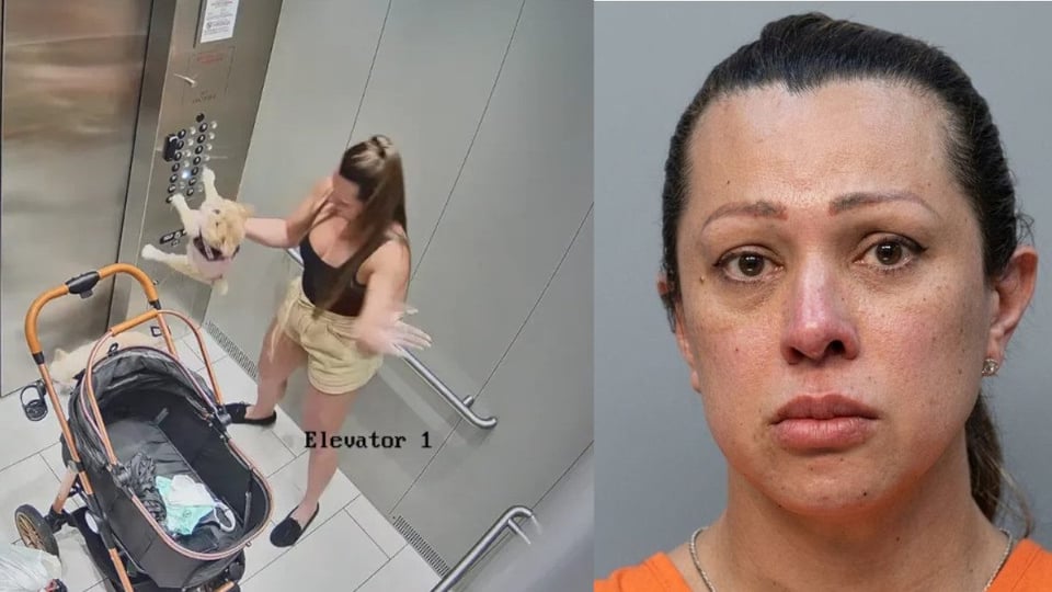 Mujer arrestada en Hialeah por maltrato animal tras videos de cámaras