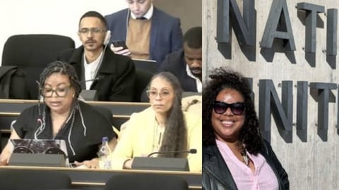 Activista Cubana Denuncia Racismo Estructural en la ONU, Provocando Tensión Diplomática