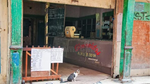 El Vacío en las Bodegas de Cuba: La Crisis del Pan y la 'Opción Cero'