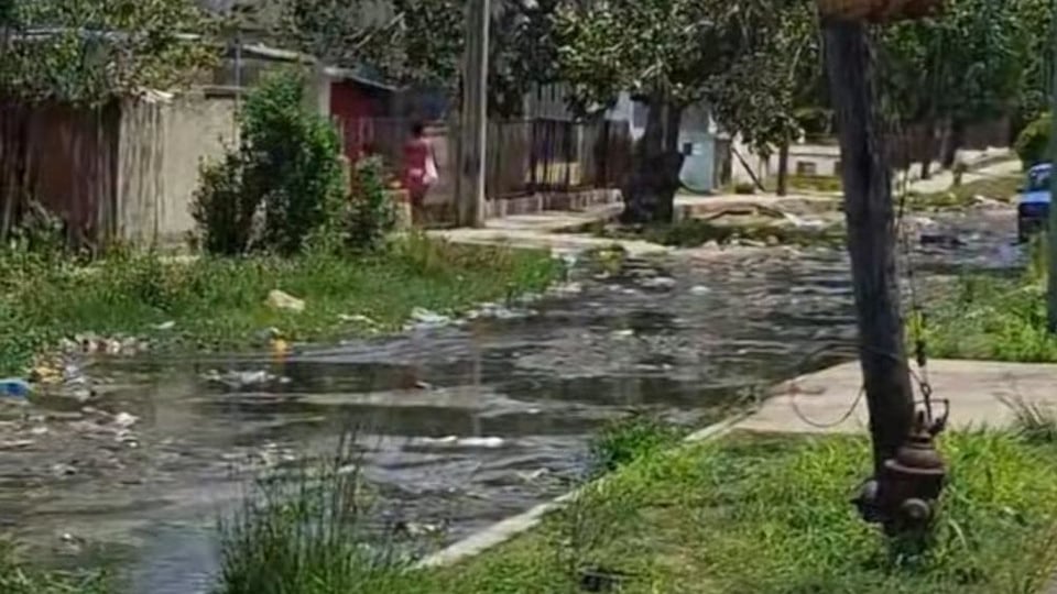 ¿Y los niños, qué? Calle de Cuba ahogada en excrementos cerca de escuela