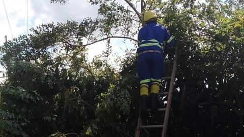 ¿Qué bochinche! Joven de 18 años se electrocuta en Cabaiguán cortando una rama