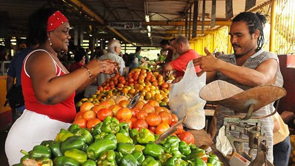 ¡Atención Camagüey! Gobierno va detrás de precios y revendedores con lupa puesta