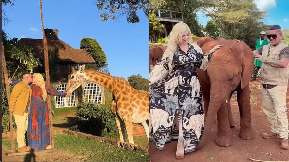 Osmani García y su esposa de safari en África, ¡pura vida salvaje y aventura!