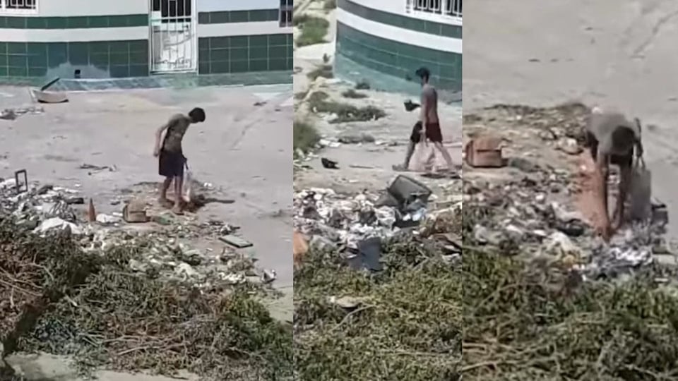 ¿Qué es eso en Manzanillo? ¡Un basurero en plena avenida donde rebuscan comida!