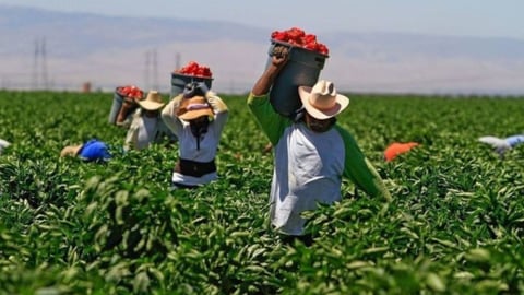 EE.UU. Duplica Visas H-2B para Afrontar Escasez Laboral en 2026