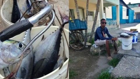 ¿Se nos acabó el pescado? Producción pesquera de Cuba se desploma y ya nadie lo puede comprar