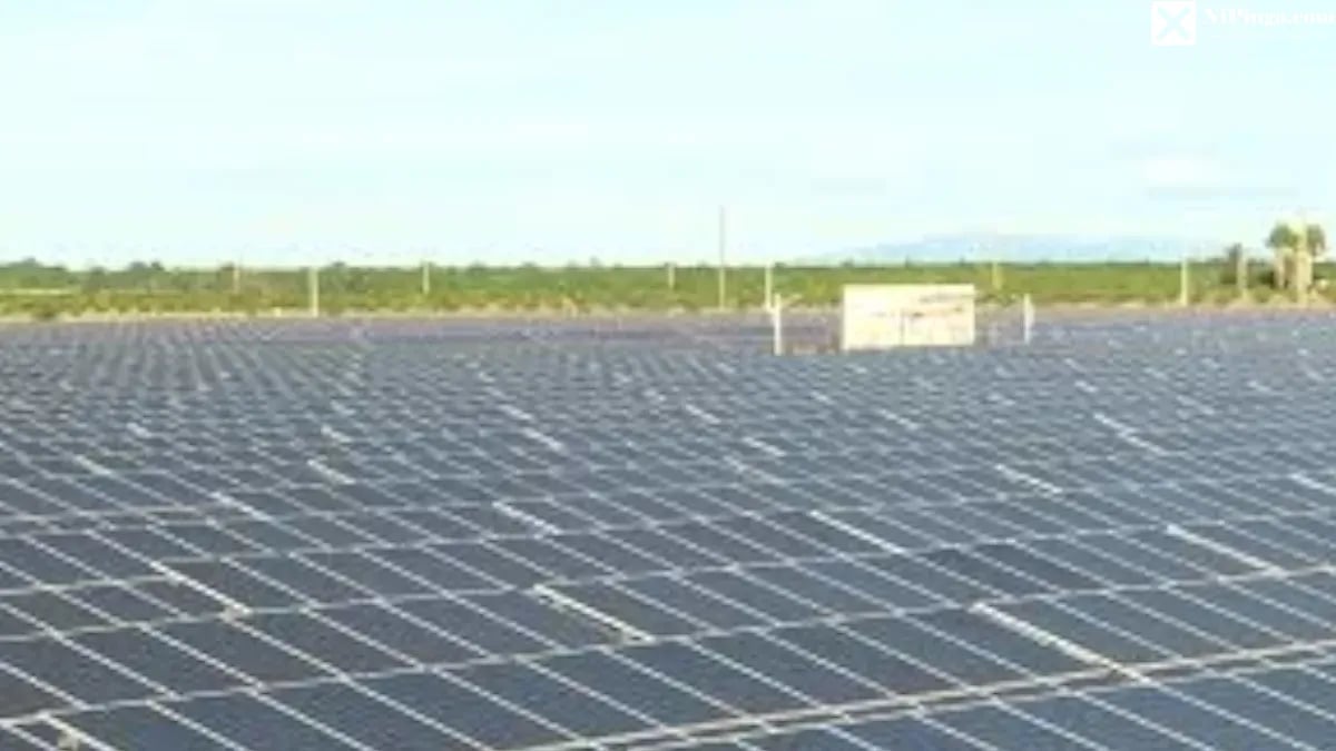 El Palimpsesto Solar: Un Robo en Niquero