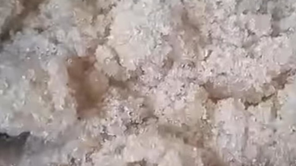 ¿Azúcar podrida pa' la gente? ¡El colmo en La Habana!