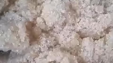 Denuncian azúcar en mal estado entregada por libreta en La Habana