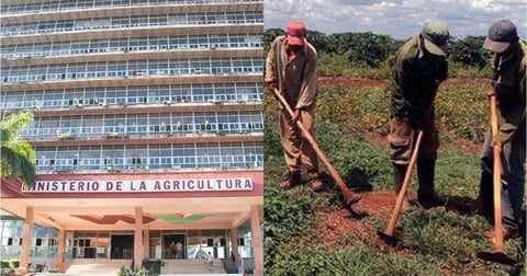 Empresa privada en Cuba limita operaciones por trabas estatales