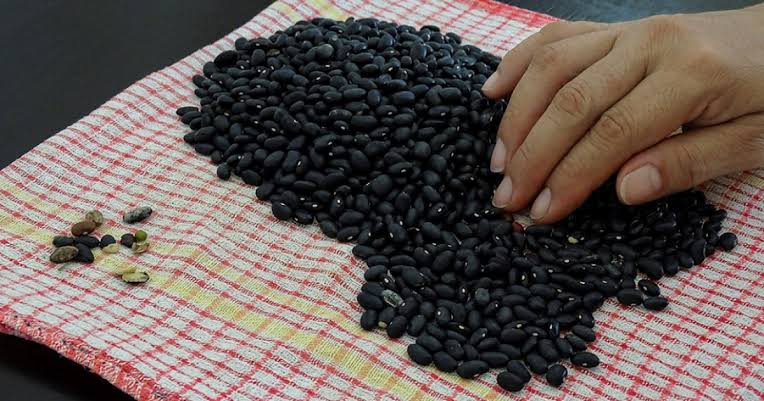 ¿Te enteraste? ¡Ya están repartiendo frijoles en Las Tunas, y dicen que son 30 onzas por cabeza!